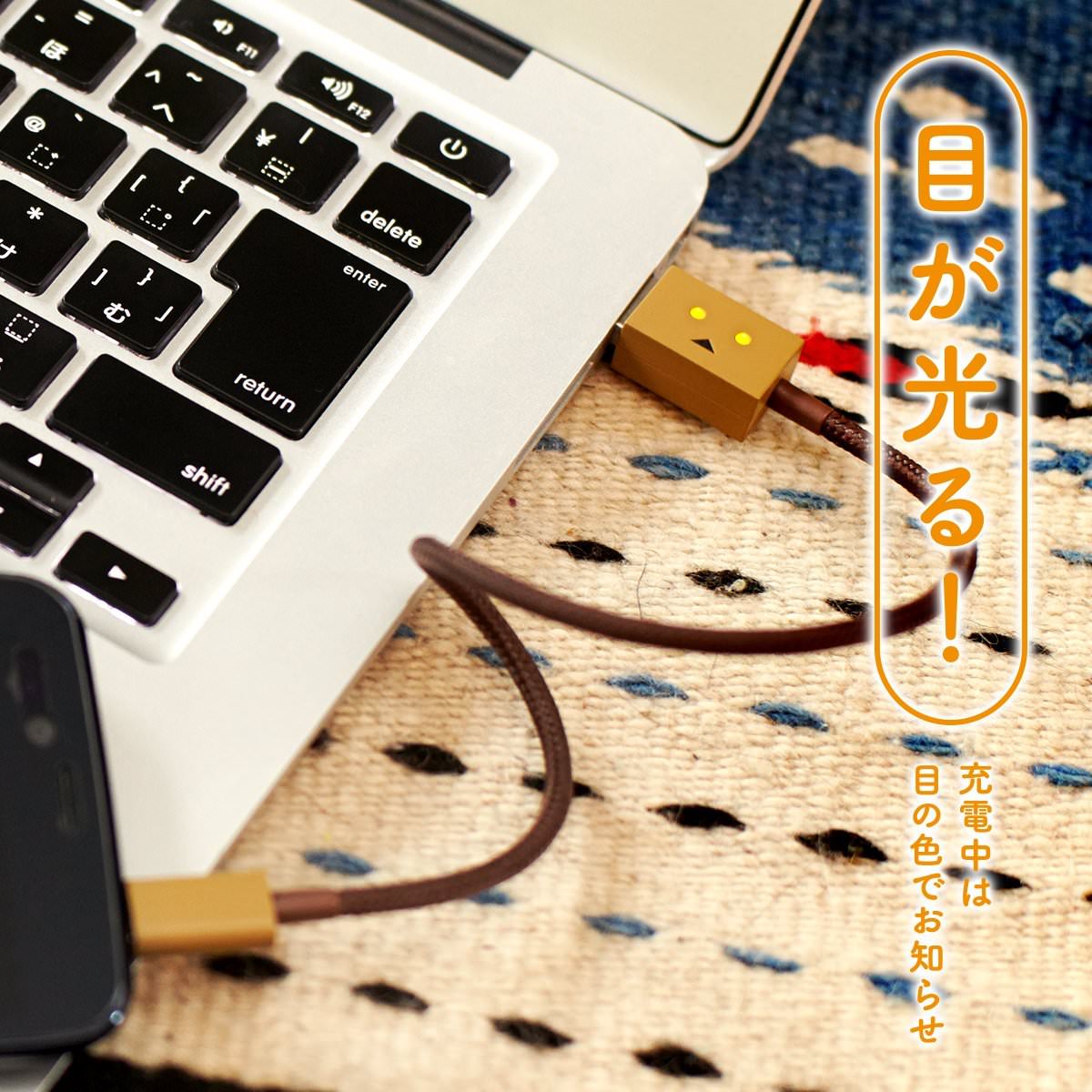 DANBOARD USB Cable with Lightning & Micro USB connector
